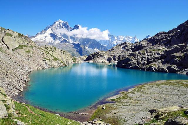 Happy Moose - Cosy Mont Blanc View Apartment Chamonix Exterior foto