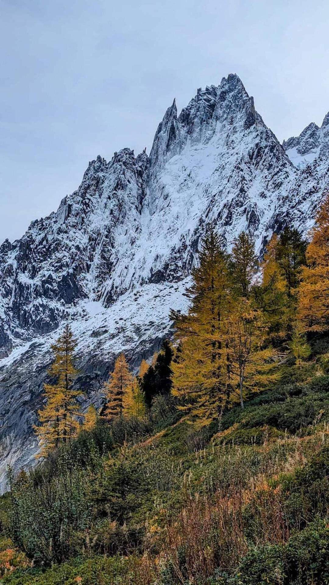 Happy Moose - Cosy Mont Blanc View Apartment Chamonix Exterior foto