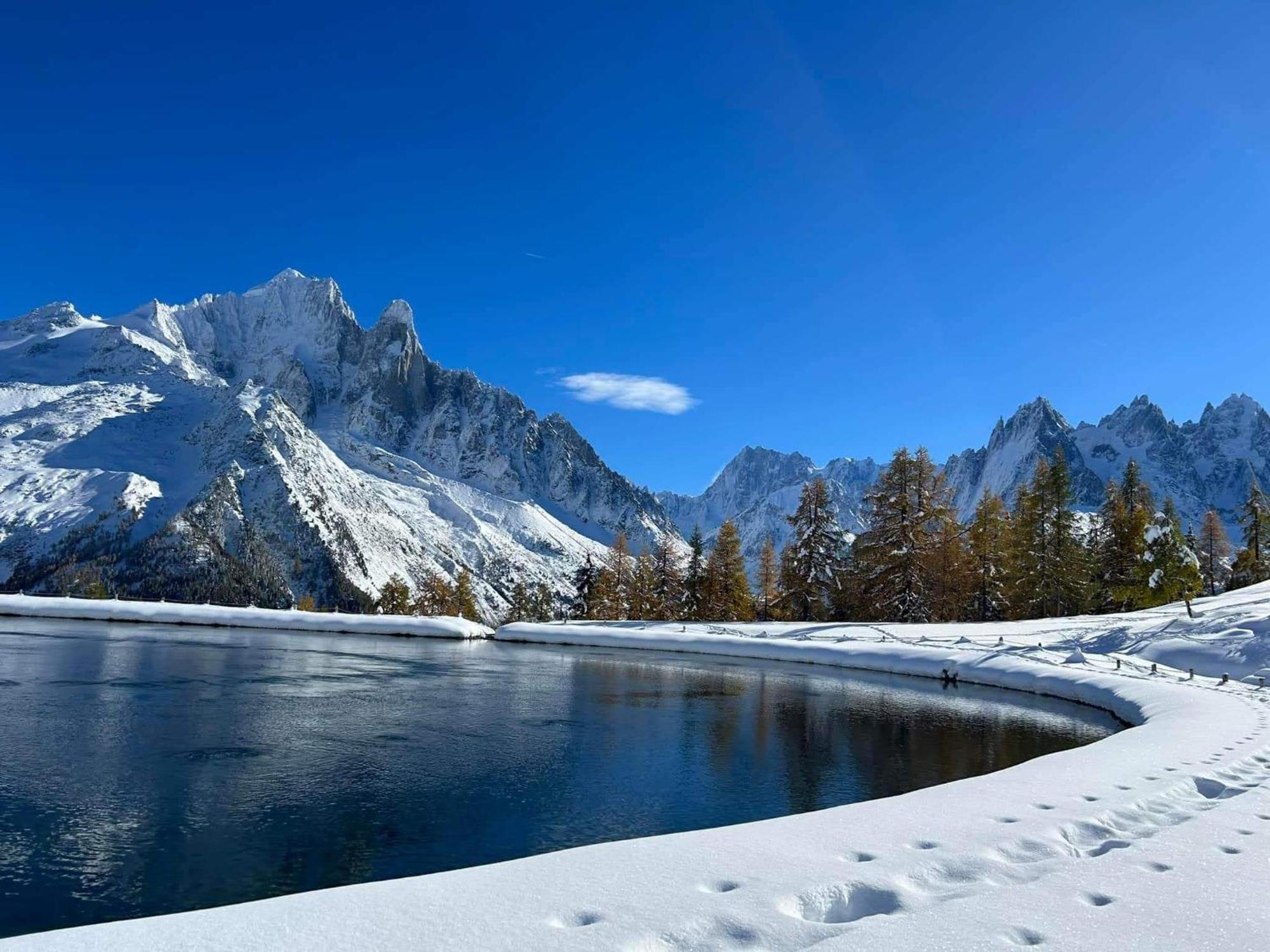 Happy Moose - Cosy Mont Blanc View Apartment Chamonix Exterior foto